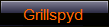 Grillspyd